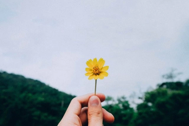 Nét đẹp thật sự