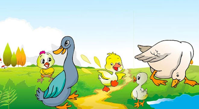 Chuyện con vịt