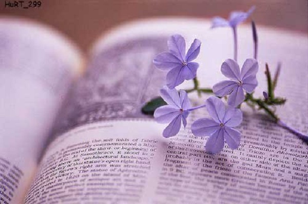 Cuộc chiến với tử thần