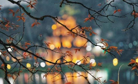 Phòng toát mồ hôi