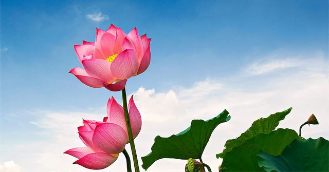 Vẻ đẹp tâm hồn #2