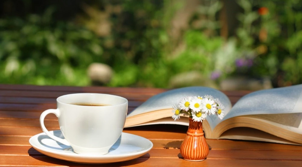 Hãy bế em ra khỏi cuộc đời anh!