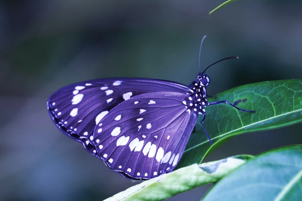 Hãy cho tôi biết người bạn yêu là ai, tôi sẽ nói cho bạn biết bạn là ai
