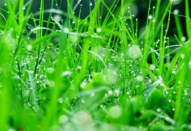 Tan vỡ hoặc tỏa sáng