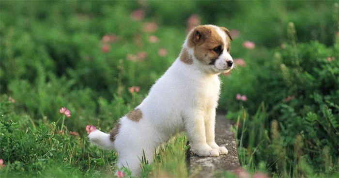 Sự nhầm lẫn ý nghĩa