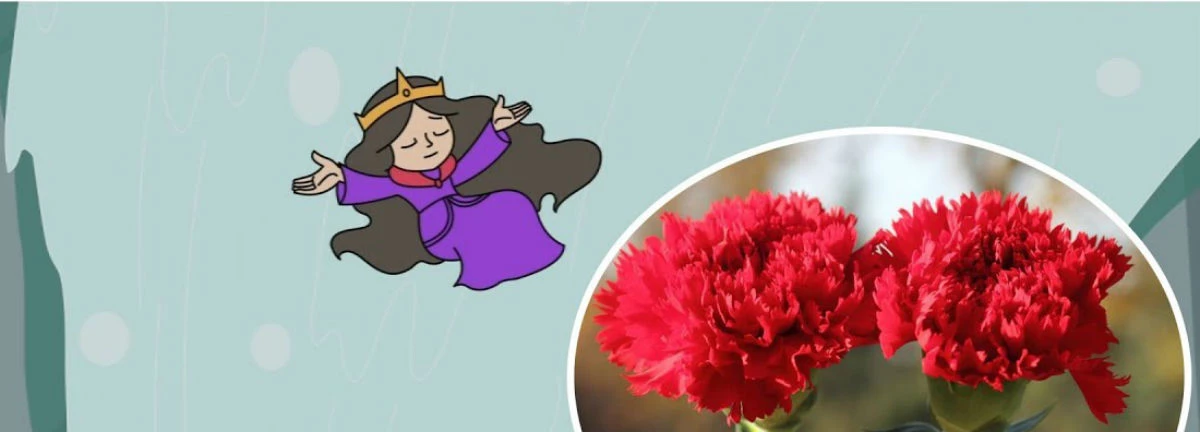 Sự tích hoa cẩm chướng