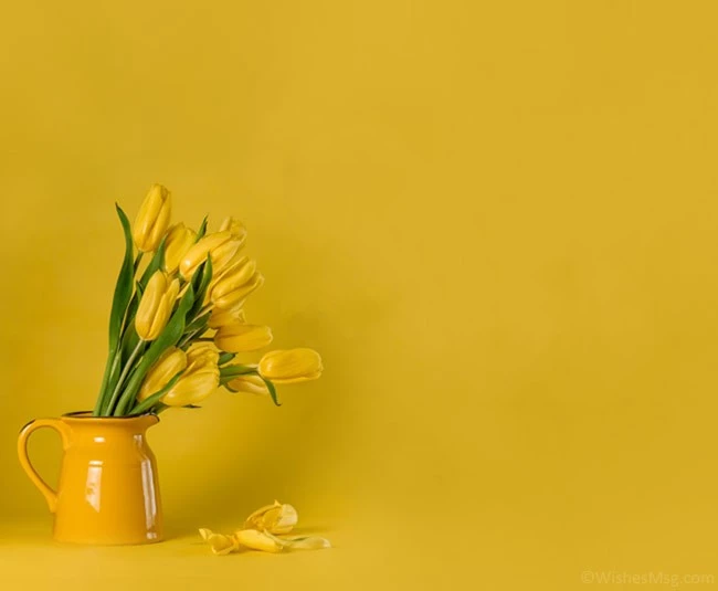Điều nên làm