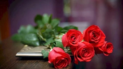 Hoa hồng tặng Mẹ ngày Giáng Sinh