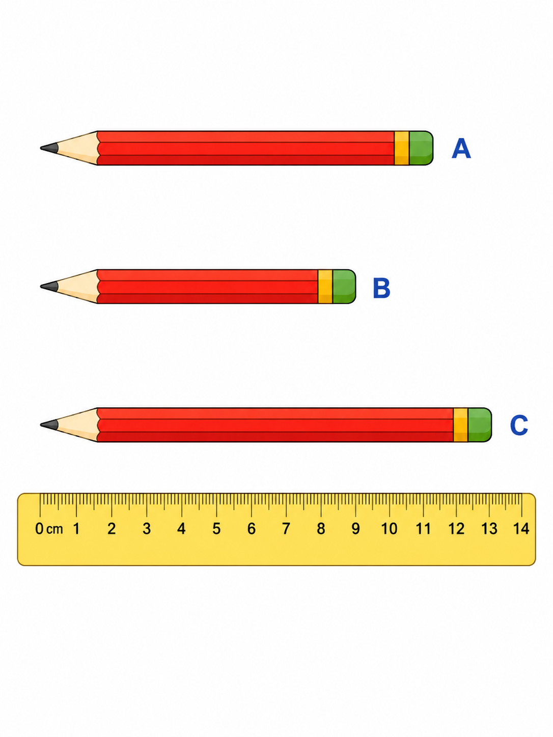 Bút chì nào dài hơn 12 cm?