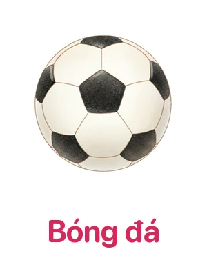 Bóng đá