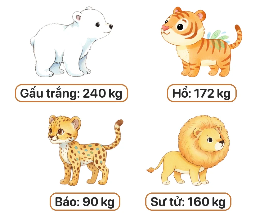 Sắp xếp tên các con vật theo cân nặng từ bé đến lớn.