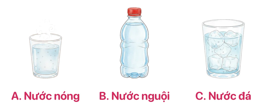 Cốc A nước nóng, chai B nước nguội, cốc C nước đá. Nước ở đâu lạnh nhất?