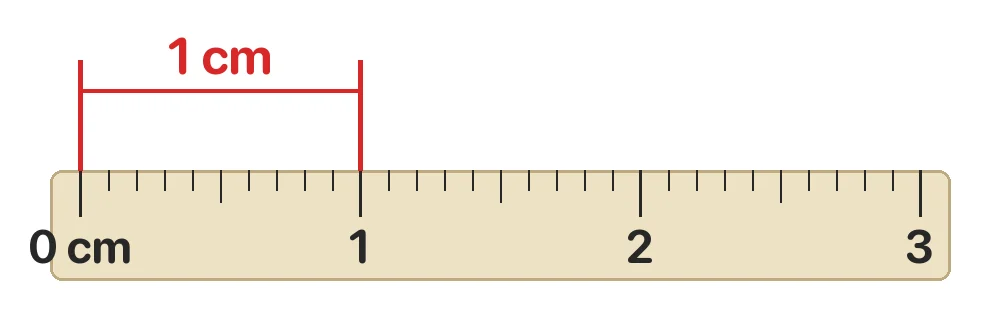 Mi-li-mét là một đơn vị đo độ dài, viết tắt là mm. Trên thước, 1 cm được chia thành mấy mi-li-mét?